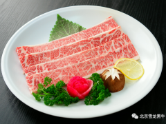 《吉林省肉牛产业发展规划》及《关于支持全省肉牛产业发展有关政策措施》 解读新闻发布会实录