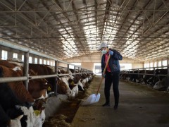 农业农村部：到2025年我国牛羊肉自给率保持在85%左右